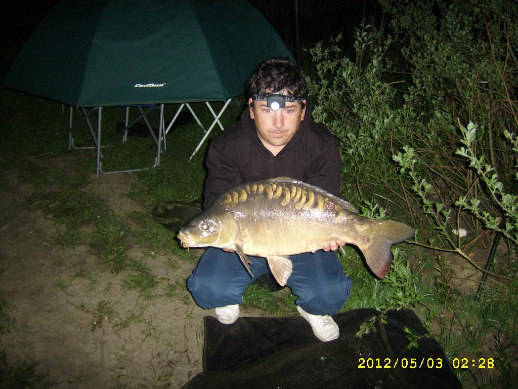 cristi - ssa50405.JPG